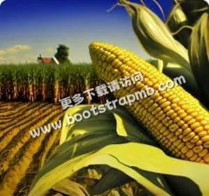 专注体育内容，服务全球球迷 - 黑白体育